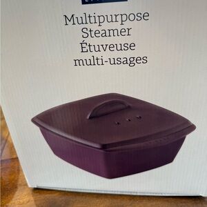 Epicure  Multipurpose Steamer New